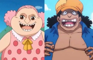 Sự thật về quá khứ các Tứ Hoàng One Piece: Từ đứa trẻ mồ côi đến 