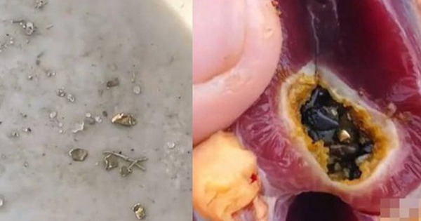 Mổ vịt ăn Tết, người đàn ông sốc nặng khi thấy vàng bên trong