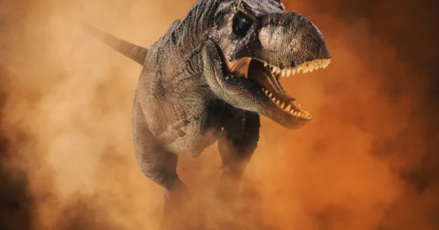 T. rex lộ “vết sẹo” hàng triệu năm tuổi, hé mở bí ẩn về cơ thể khủng long