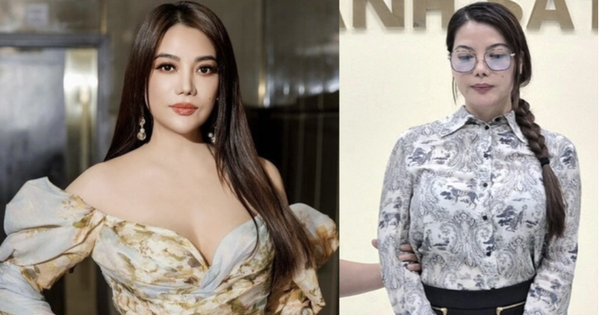 Sự nghiệp của diễn viên Trương Ngọc Ánh trước khi bị bắt