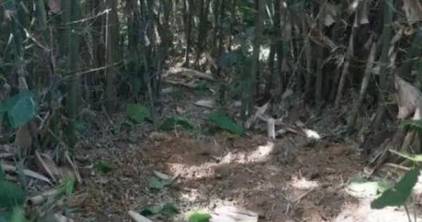 Đang đào giun thấy xẻng chạm phải vật cứng, lão nông dân run rẩy phát hiện kho báu nặng 30kg ngàn năm tuổi còn nguyên vẹn