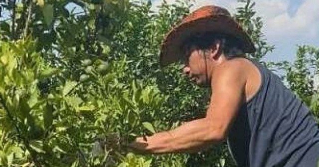 Thiếu gia 3 bằng thạc sĩ bỏ biệt thự đi rửa bát thuê