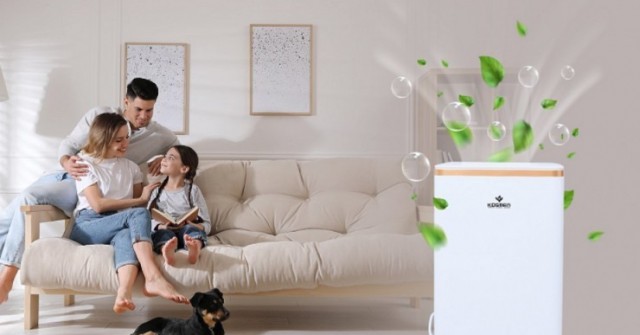 Đây là 5 mẫu máy hút ẩm cực mạnh, giá chưa tới 8 triệu đồng
