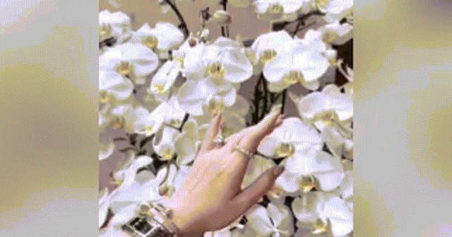 'Kết ấn cầu tài' là gì mà rần rần mạng xã hội?