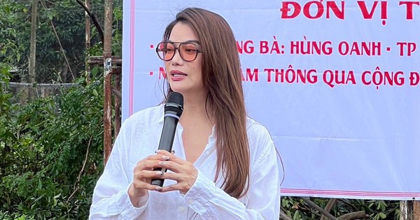 Trước khi bị bắt, Trương Ngọc Ánh làm gì ở Gia Lai?