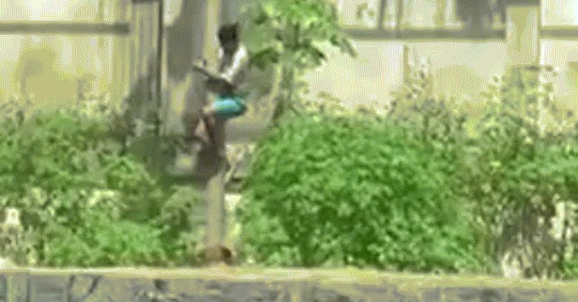 Cố trèo vào chuồng sư tử, chàng trai ngay lập tức bị cắn chết