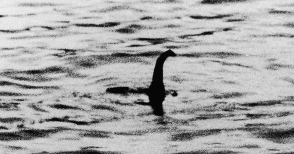 Chuyên gia hàng đầu về quái vật hồ Loch Ness có tuyên bố bất ngờ