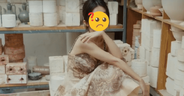 Nữ diễn viên N. bất ngờ bị cắt sóng, gỡ phim và xóa bỏ mọi thông tin trên Internet