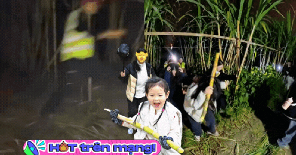 “Trộm mía” giữa đêm đông: Trò chơi quê mùa bỗng thành hot trend, người ta xếp hàng nửa tiếng chỉ để… bị đuổi bắt