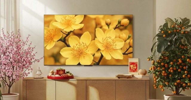 Xu hướng TV 2026: Màn hình khổng lồ và công nghệ QD-Mini LED 