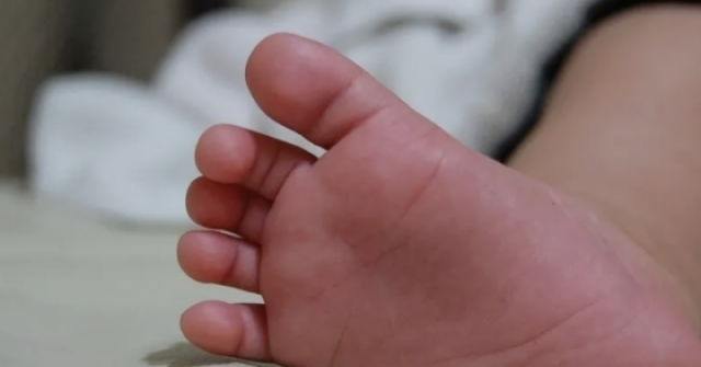Bé 9 tháng tuổi tử vong vì mẹ bỏ ở nhà đi nhận nuôi chó