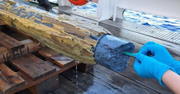Phát hiện sự sống kỳ lạ ở 