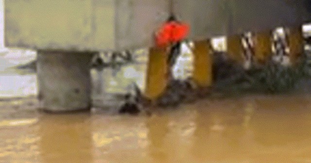 Khoảnh khắc ‘người hùng áo đen’ đu dây xuống dòng lũ dữ, cứu người bị cuốn trôi