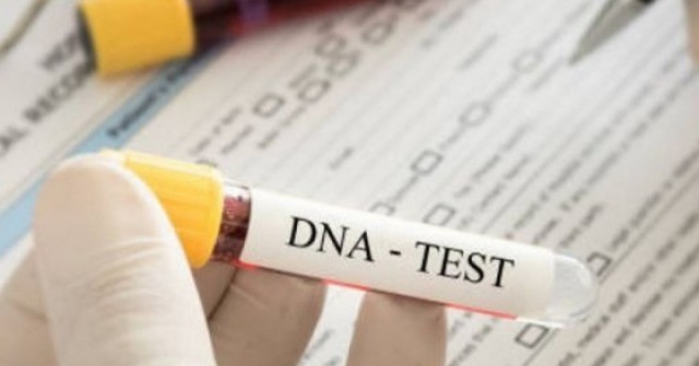 Xét nghiệm ADN ngày lễ: Từ niềm vui đoàn tụ đến bí mật gia đình bị phơi bày
