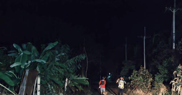 Hơn 100 sinh vật khổng lồ tràn qua khu rừng lúc 2h sáng, cảnh tượng khiến người dân thấp thỏm cả đêm