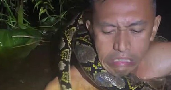 Cảnh tượng kinh hoàng: Trăn khổng lồ kéo người trên thuyền xuống sông ở Indonesia