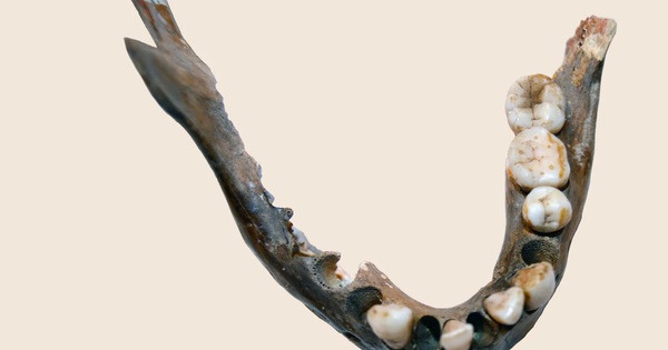1.400 năm trước vẫn có một nhóm người mang DNA khác hầu hết người hiện đại