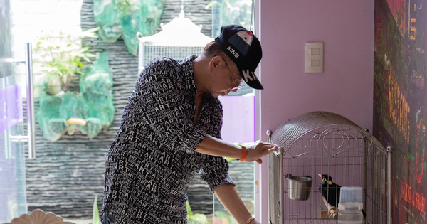Nam nghệ sĩ từng là đại gia một thời, phường nào cũng có nhà: 62 tuổi sống an phận bên vợ 2 kém 23 tuổi