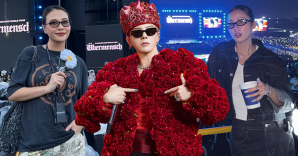 Khi sao Việt đu concert 