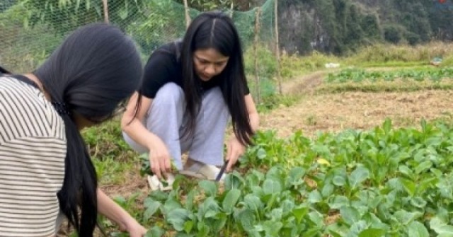 Bỏ phố về quê - Trào lưu không dành cho số đông