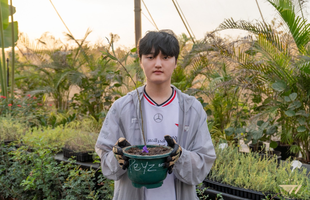 Peyz tiếp tục nối dài thành tích 
