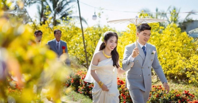 Mừng con gái lấy chồng, ông bố Cần Thơ cho cả vườn mai nở sớm