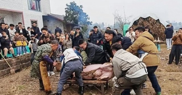 Nhờ dân mạng giúp mổ lợn, cô gái bất ngờ tiếp 10.000 khách
