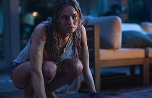 Phim kinh dị lấy cảm hứng từ Stephen King, hé lộ cuộc thảm sát đẫm máu của loài thú nuôi bị dại