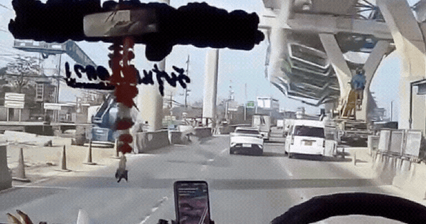 Video cận cảnh khoảnh khắc cần cẩu đổ sập xuống đường ở Thái Lan khiến 2 người tử vong