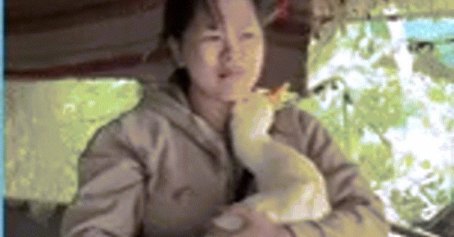 Chú vịt nổi tiếng qua đời sau 6 năm gắn bó, cô gái miền Tây khóc nghẹn chia tay