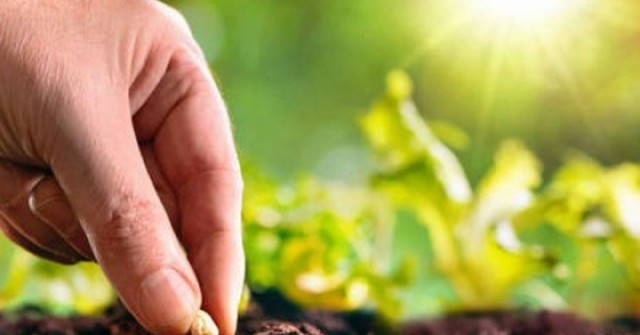 Tại sao bạn nỗ lực mãi không giàu?: Hãy đọc 7 quy luật này trước khi quá muộn