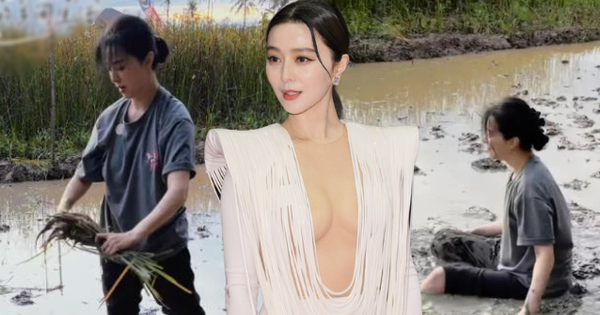 Hết cứu Phạm Băng Băng