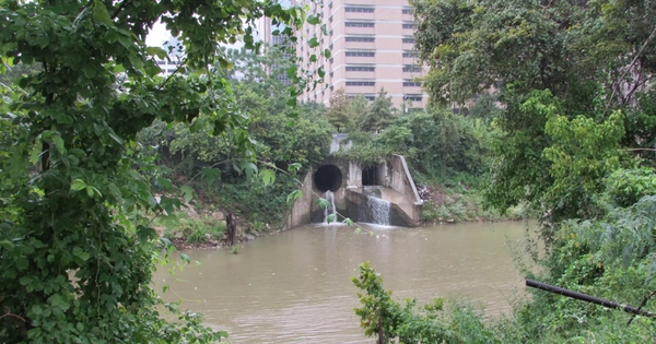 Hơn 30 thi thể vớt từ sông rạch Houston, gây lo ngại về kẻ giết người hàng loạt