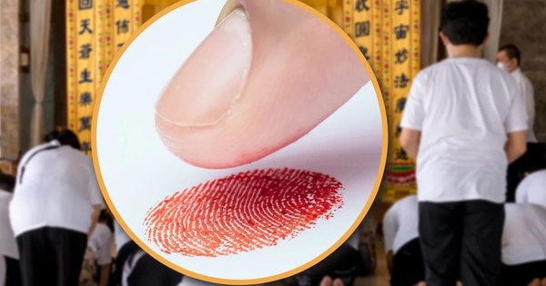 Lấy dấu vân tay của người đã khuất làm giả giấy nợ, người phụ nữ lĩnh án tù