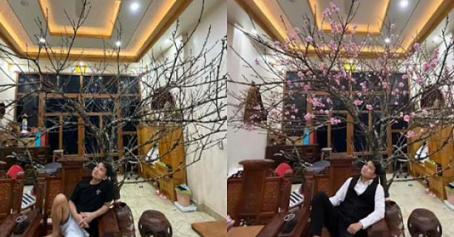 Vợ 9X gây sốt khi 'trách' chồng mua cành đào 17 triệu đồng như củi khô