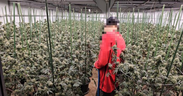 Mùi quá nồng nặc