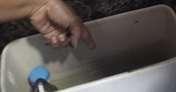 Nghe tiếng khóc trong bồn cầu, người phụ nữ tới kiểm tra thì sốc nặng