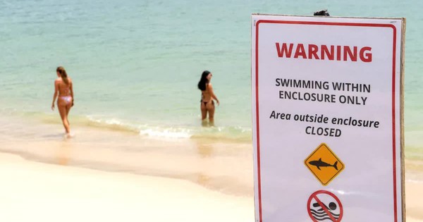 Cá mập tấn công người liên tiếp, Australia đóng cửa 40 bãi biển