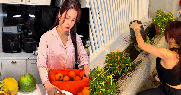 Diệp Lâm Anh gây bão với loạt clip nữ công gia chánh, phản hồi thẳng thắn khi netizen réo tên Vũ Thúy Quỳnh