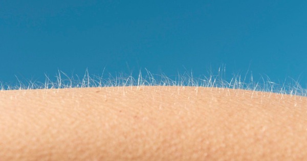 Tại sao chúng ta nổi da gà khi sợ hãi hoặc xúc động?