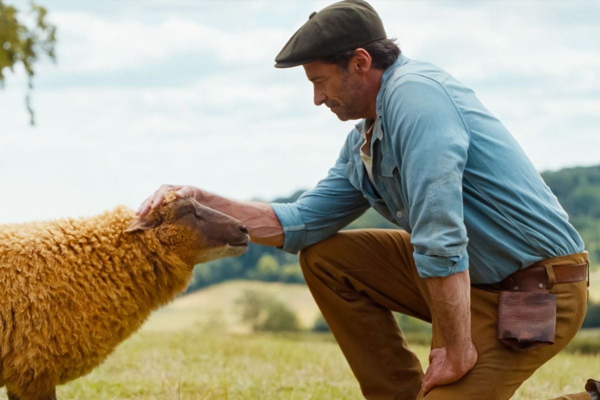 Trailer The Sheep Detectives: Hugh Jackman Bị Hại, Đàn Cừu Phá Án