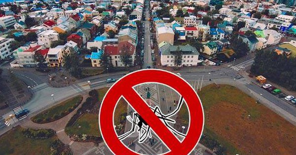 Một quốc gia không có bất kỳ con muỗi nào