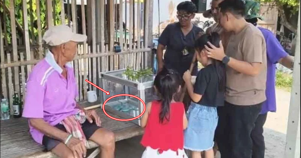 Người phụ nữ Thái Lan bắt rắn xanh lam 