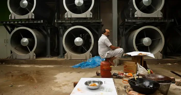 Được ví là 