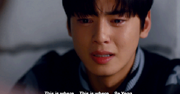 Hết cứu nổi Cha Eun Woo