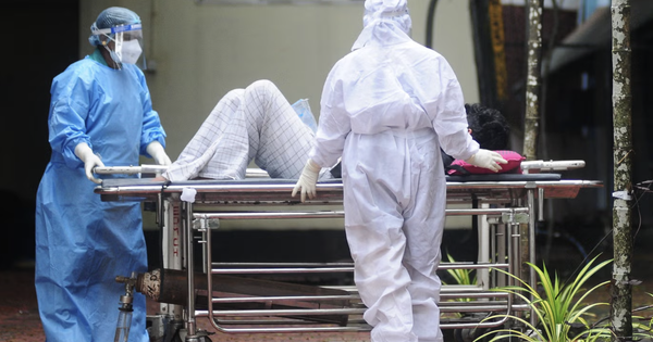Nguy cơ bùng phát dịch bệnh mới từ 1 loại virus lây từ dơi sang người, chưa có vaccine hoặc bất kỳ phương pháp điều trị nào
