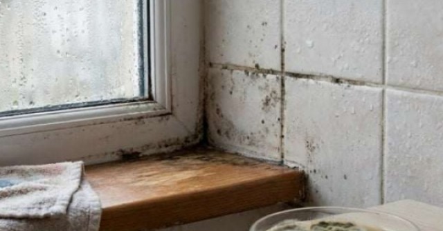 8 bí quyết chống nồm tại nhà không tốn tiền, ai cũng có thể làm được