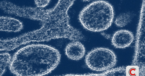 Nipah 2026: 