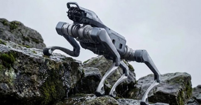 Chó robot AI 