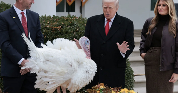 Ông Trump ân xá cho gà tây